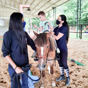 Projeto Equoterapia
