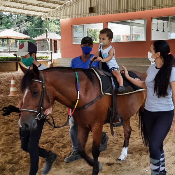 Equoterapia